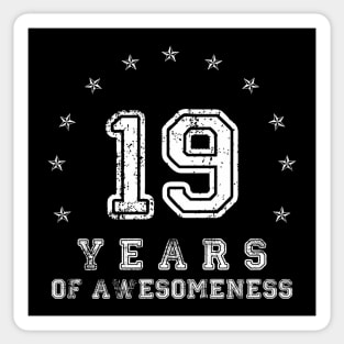 Vintage 19 years of awesomeness Sticker